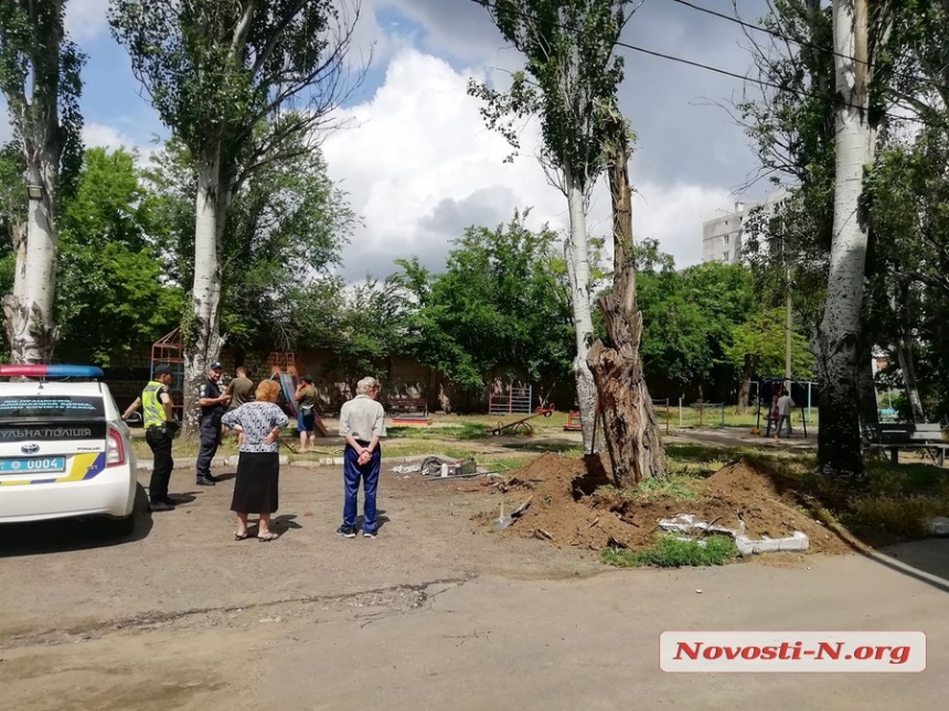 В Николаеве незаконно рубят дерево — освобождают место под парковку