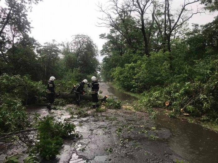 На Николаевщине спасатели распилили и убрали два упавших из-за непогоды дерева