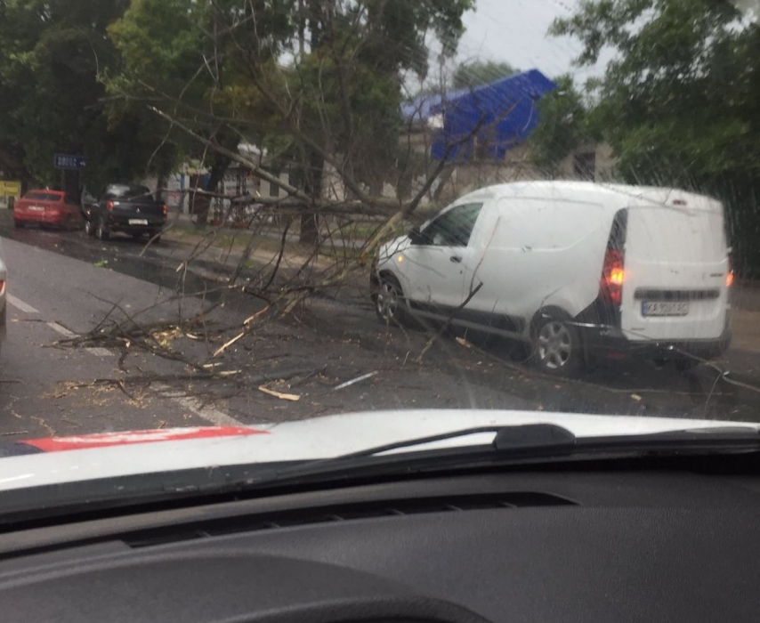 В Николаеве бушует непогода: на автомобиль упало дерево
