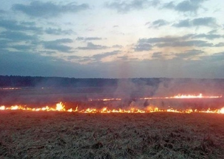 На Николаевщине горело пшеничное поле и лесополоса 