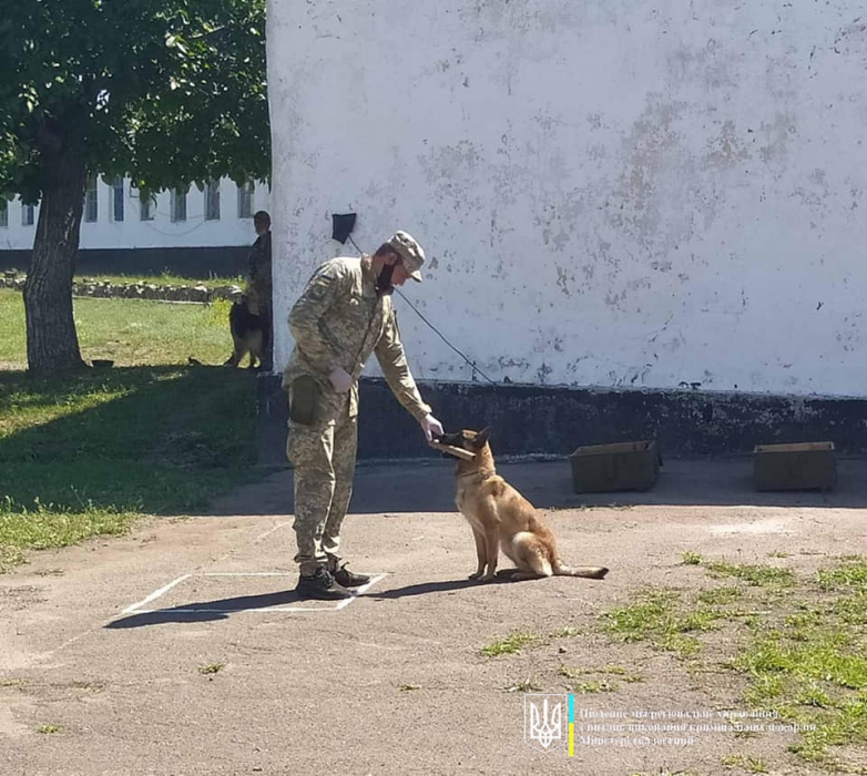 На Николаевщине прошли соревнования по многоборью кинологов