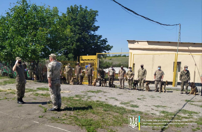 На Николаевщине прошли соревнования по многоборью кинологов