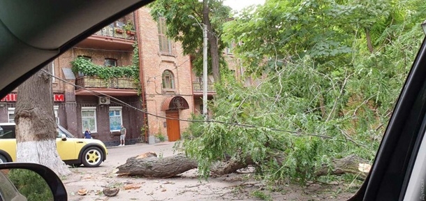 В Одессе ветер повалил десятки деревьев, пострадали два человека