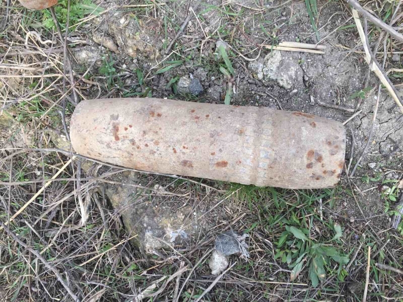 Жители сел Николаевской области нашли 2 артснаряда: находку уничтожили