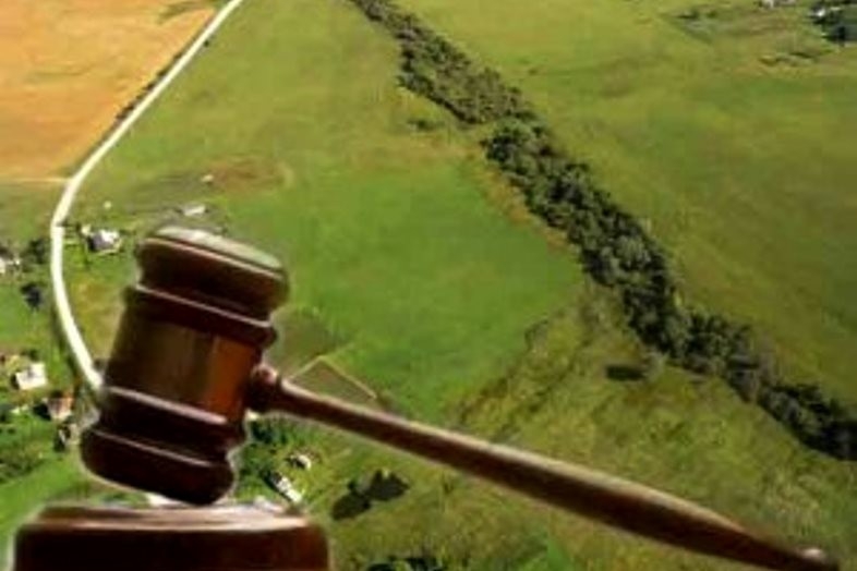 На Николаевщине в частную собственность передали государственные «лесные земли» - состоялся суд