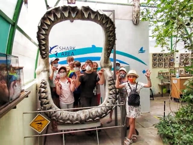 В Николаевском зоопарке появилась фотозона в виде челюсти вымершей акулы
