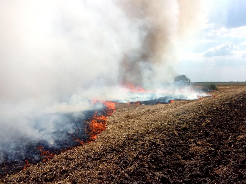 Из-за высокой пожароопасности в Николаевской области 12 раз горел сухостой