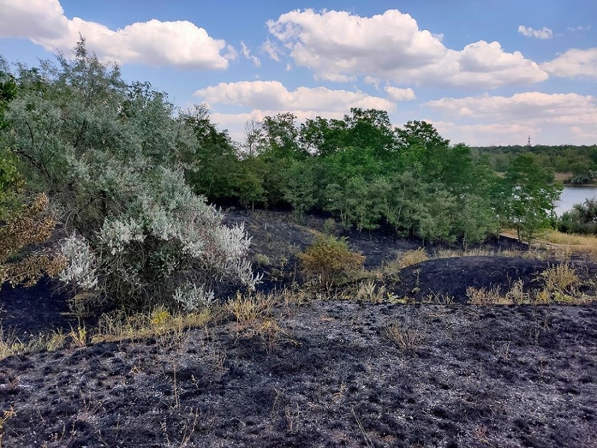 В Николаевской области по вине отдыхающих загорелся лес - выгорело около 1 га
