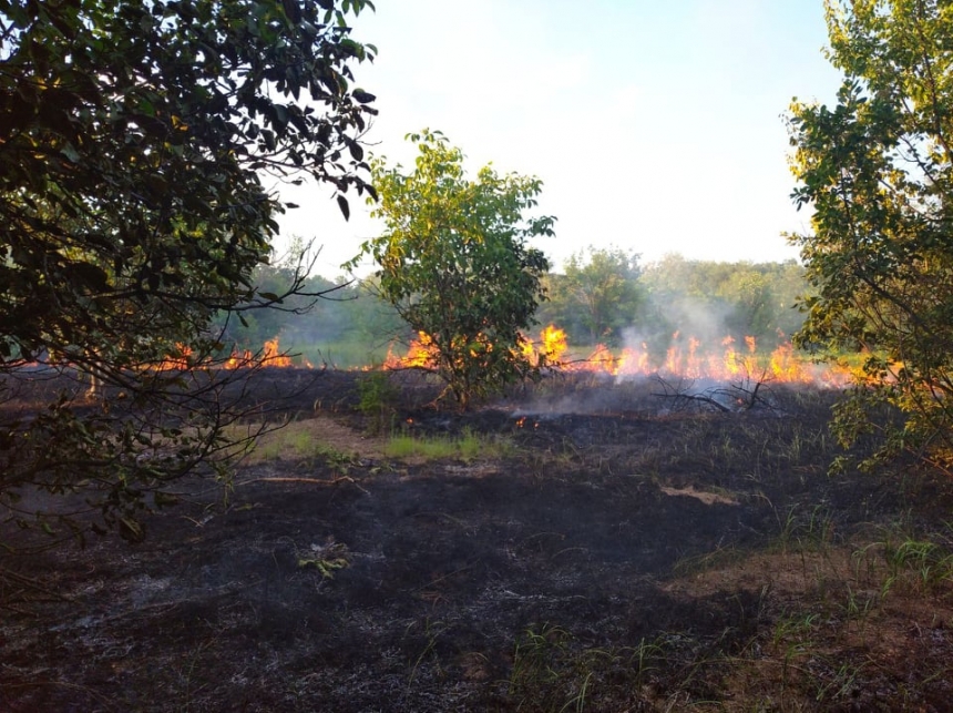 За сутки из-за неосторожности граждан в Николаевской области выгорело 9 га территории