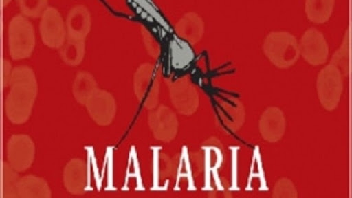 От тропической малярии умер моряк из Одесской области