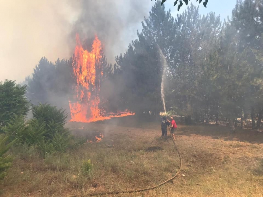 Под Новой Одессой горел лес: пожар длился более трех часов