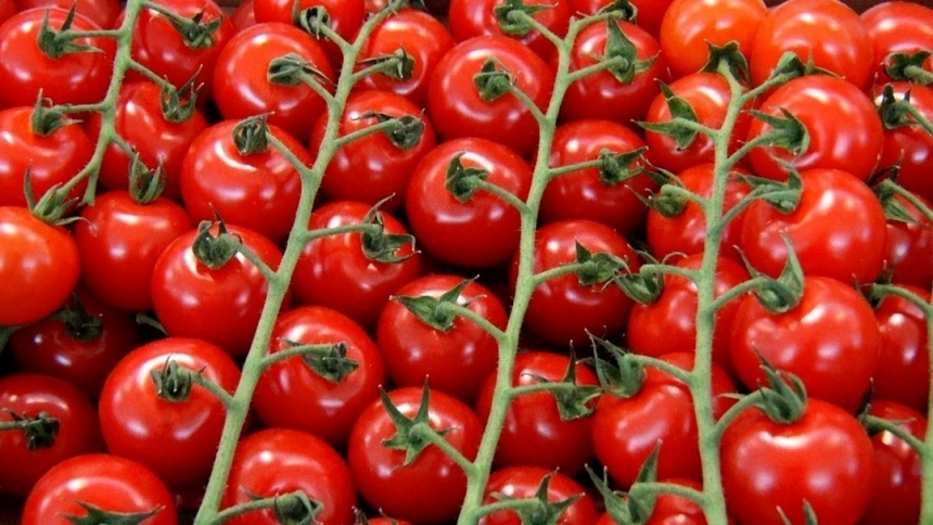 В Украине тепличные помидоры за неделю подорожали на 30% 