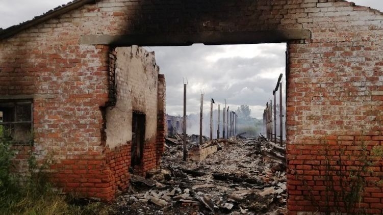 В Житомирской области в масштабном пожаре сгорели 30 козлят