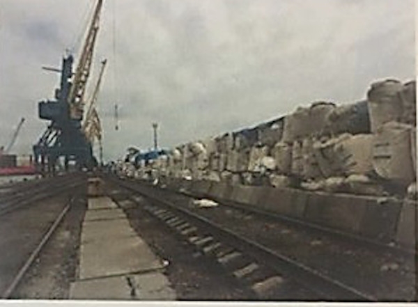 В Николаевском порту хранится более 3 000 тонн селитры, взрыв которой разрушил Бейрут