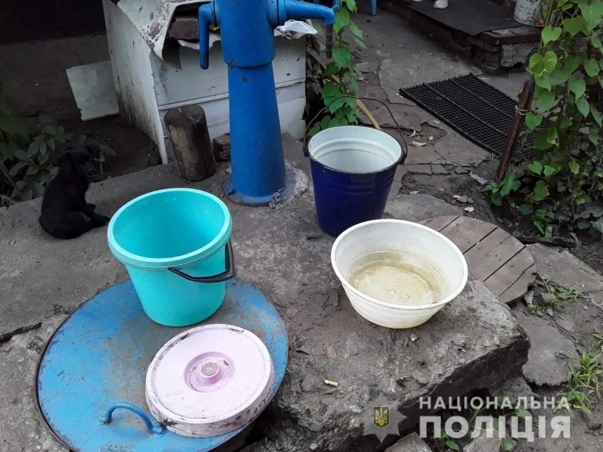 Житель Первомайска утопил котов: расследование завершено