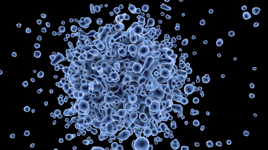 «Менее опасный, чем коронавирус», - врач рассказал о новом вирусе SFTS