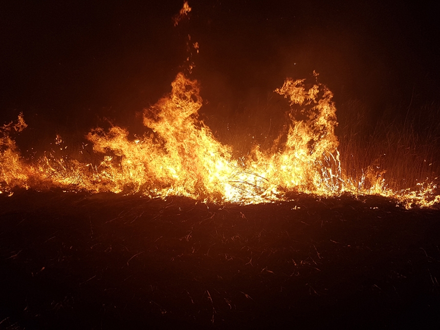 В Николаеве и области за сутки произошло 14 пожаров — выгорело более 7 га