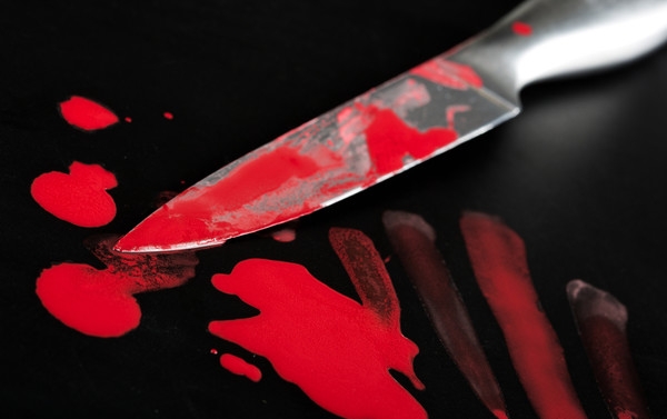 17-летняя девушка зарезала сожителя матери в Херсонской области