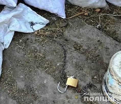 В Винницкой области мать посадила на цепь с ошейником свою 14-летнюю дочь