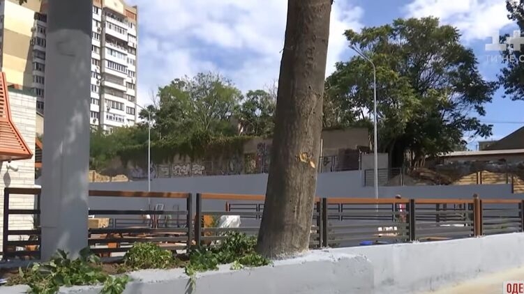 Строители в Одессе залили дерево бетоном, чтобы построить забор. Видео