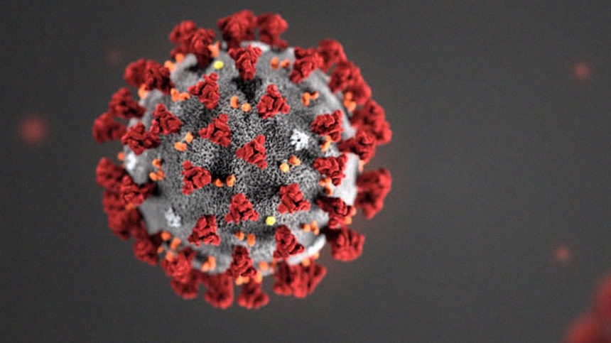 В мире количество заболевших коронавирусом превысило 24 миллиона 