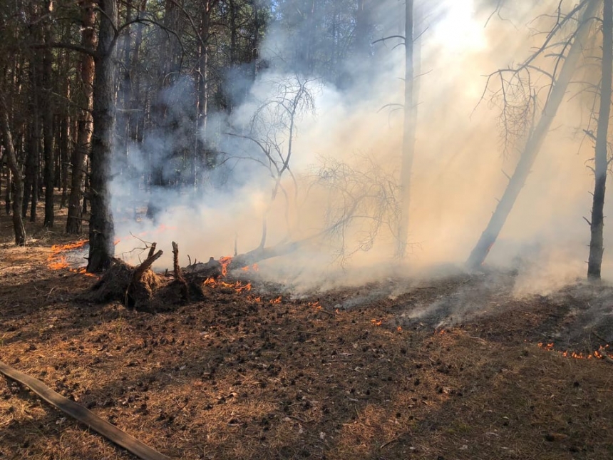 В Николаевской области горело 38 га сухостоя — на тушение пожаров спасатели выезжали 18 раз