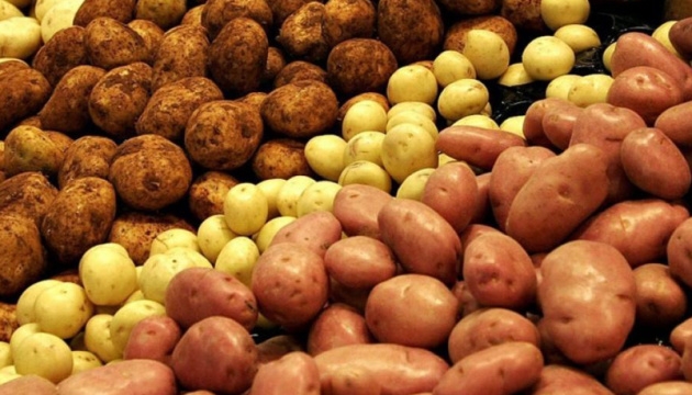 В Украине упали цены на картошку: чего ждать