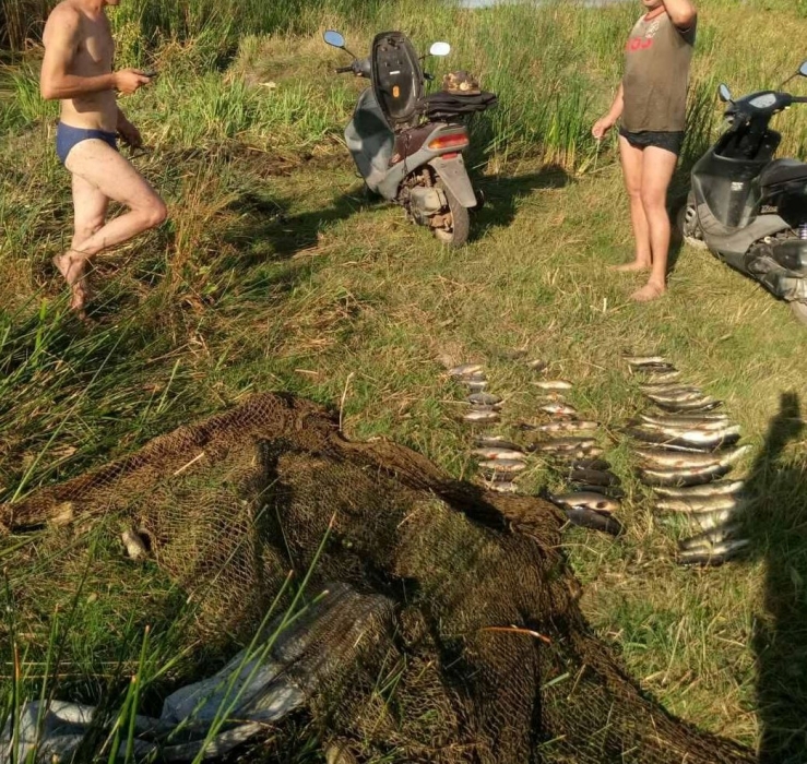 В Николаевской области браконьеры выловили рыбу почти на 11 тысяч гривен