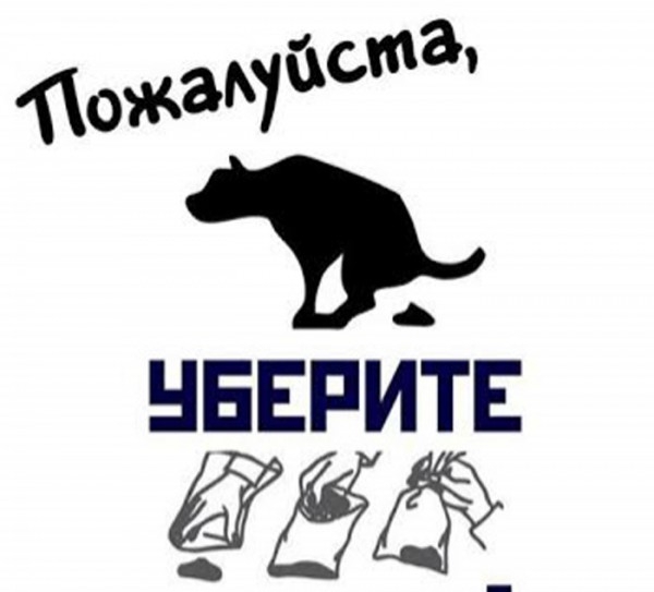 В Украине хотят ввести штрафы за неуборку владельцами собак и котов экскрементов их питомцев