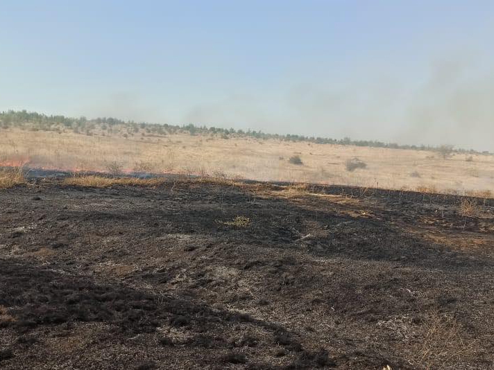В Николаевской области горит заповедник «Еланецкая степь» – огонь охватил 10 га