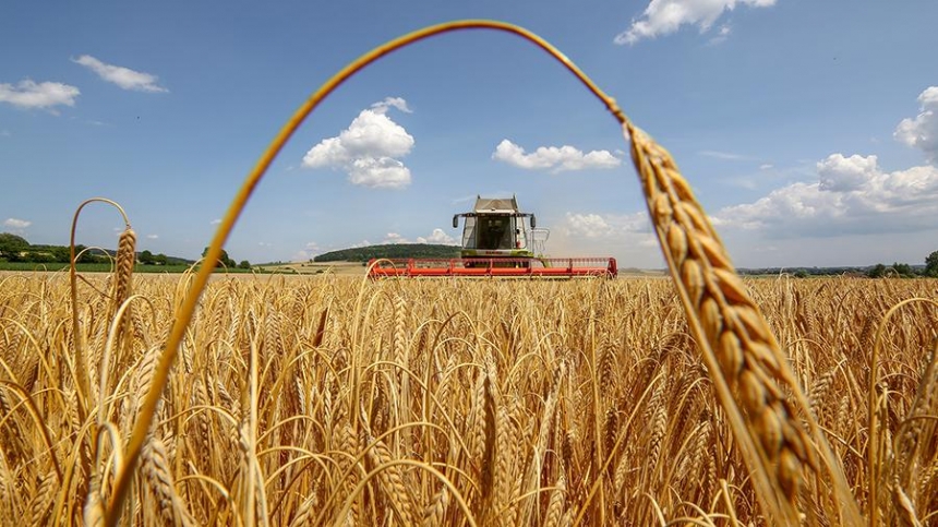 В Украине ожидается самый низкий за последние годы урожай