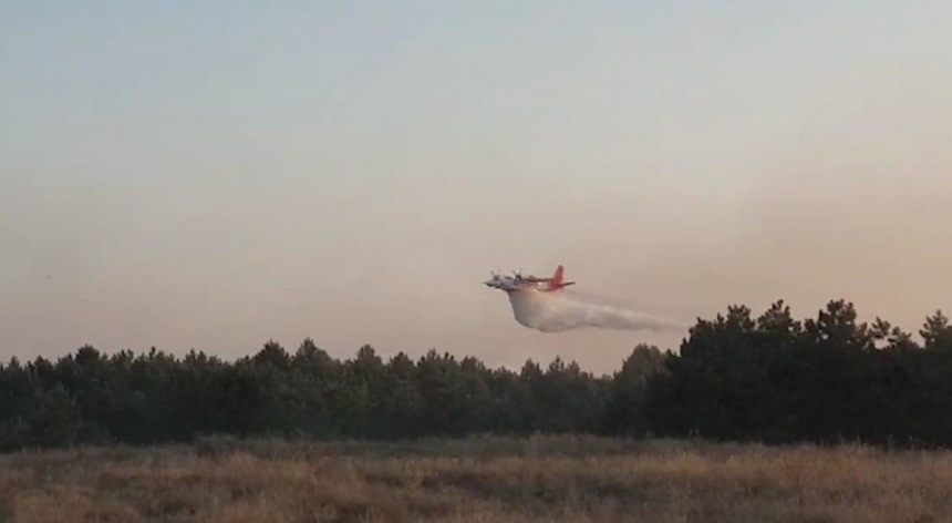 В Херсонской области вторые сутки горит лес: задействованы пожарные самолеты