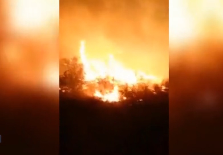 Масштабный пожар охватил Днепровские плавни в Херсонской области. Видео