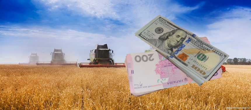В Новобугском районе неизвестные засеяли 14 га земли — деньги с урожая пойдут в местный бюджет