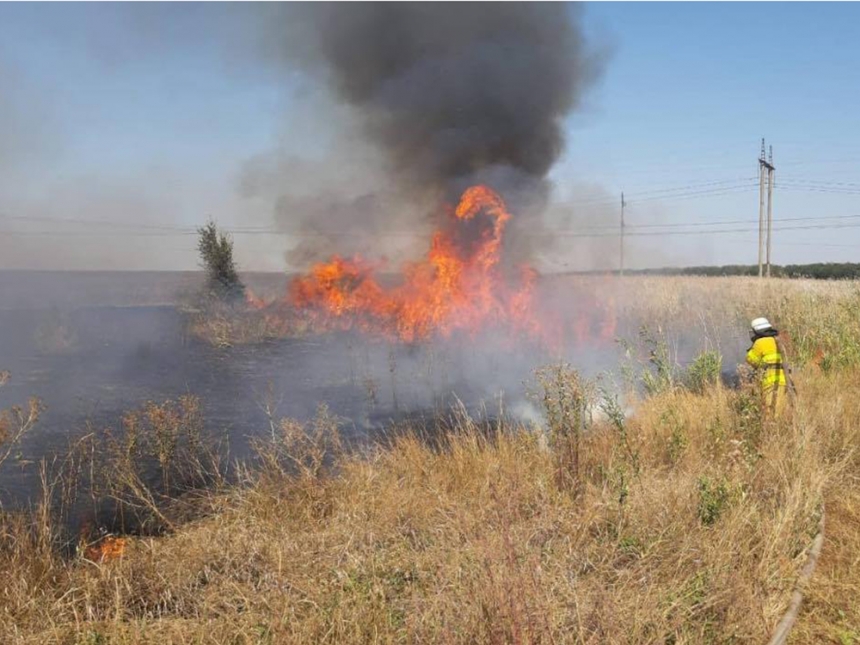В Николаевской области за день выгорело более 20 га травы и кустарников