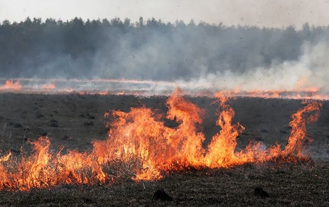 За сутки в Николаевской области случилось 10 пожаров — горело лесное урочище и сухостой