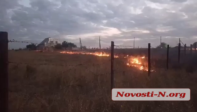 Под Николаевом горело поле. ВИДЕО