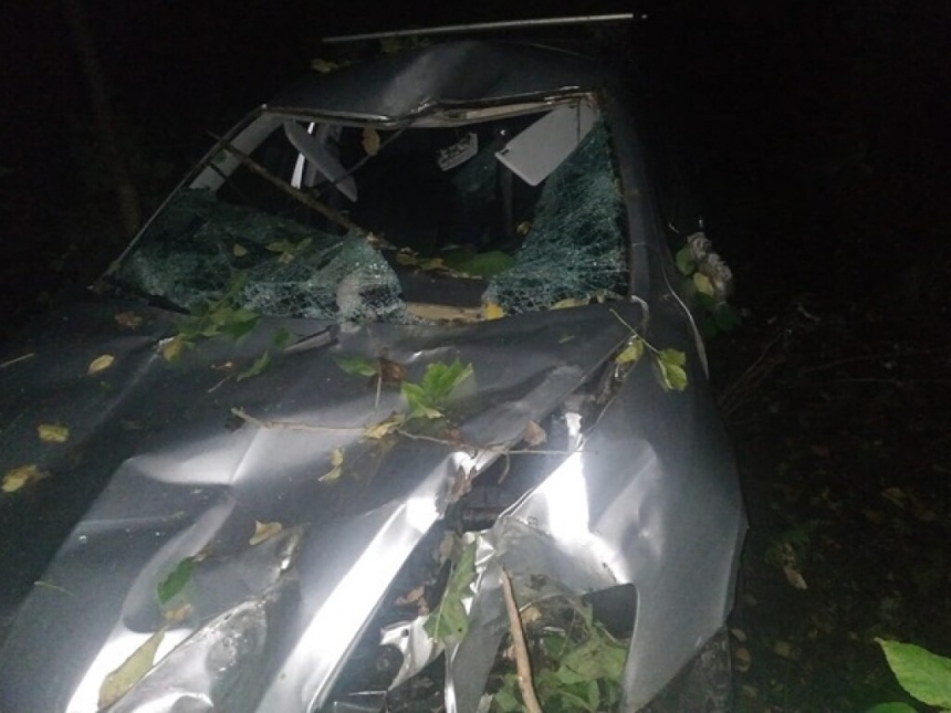 В Винницкой области дерево рухнуло на авто и убило водителя