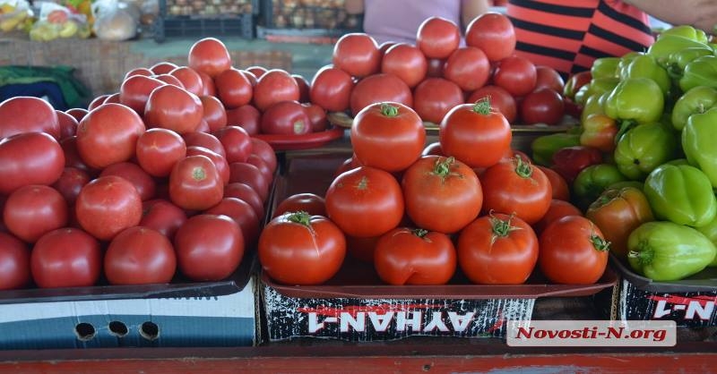 В Украине цены на помидоры растут в цене из-за ночного похолодания