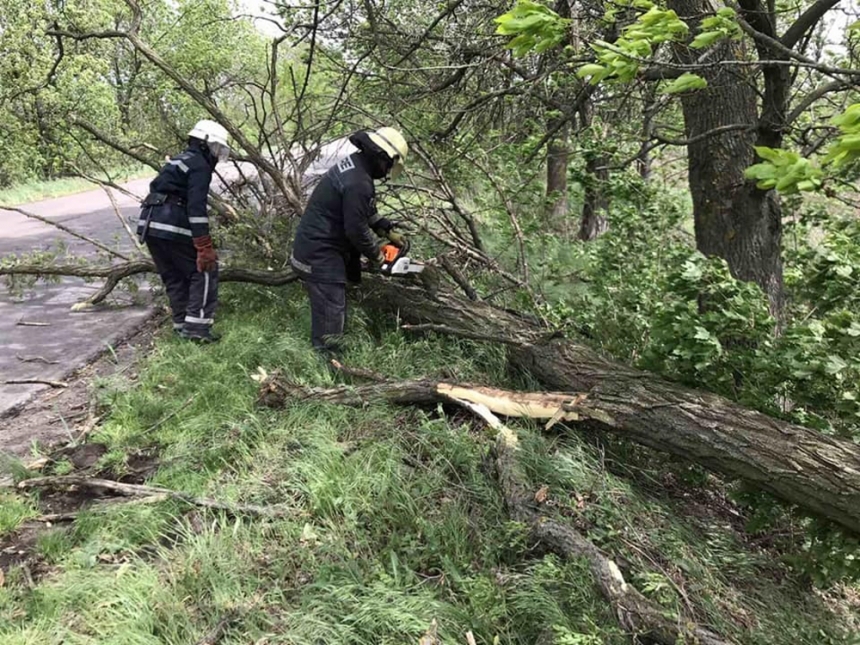 Непогода в Николаевской области: повалено 60 деревьев, пострадали школы