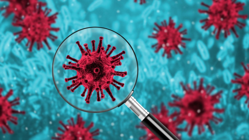 Ученые нашли новый способ заблокировать коронавирус