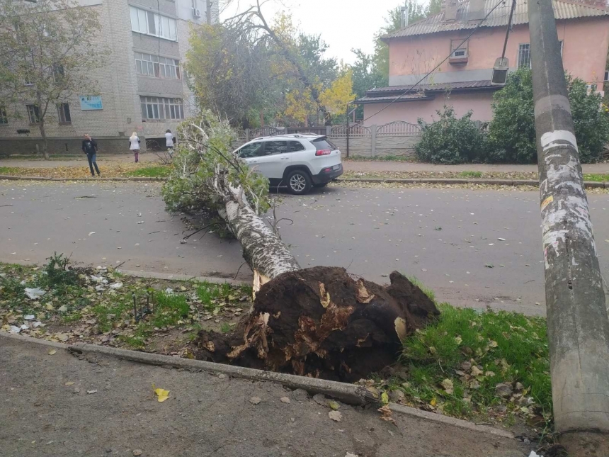 В Николаеве дерево упало на автомобиль, оборвало провода и повалило несколько электроопор 