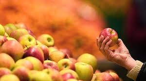 Заморозки и засуха привели к дефициту качественных украинских яблок