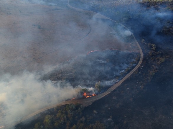 В Николаевской области выгорело 570 га заповедника — ущерб составил более 1,6 миллиона
