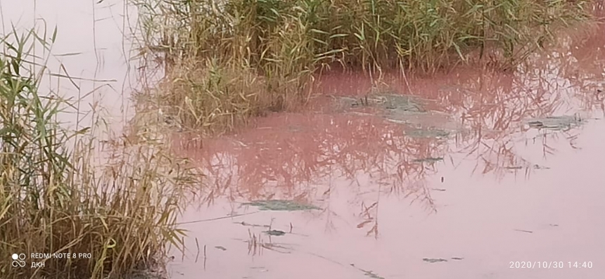 Под Новой Одессой вода в Южном Буге стала красной. ВИДЕО