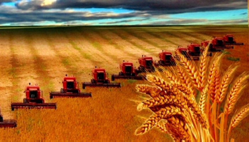 В Украине запустят единый Государственный аграрный реестр