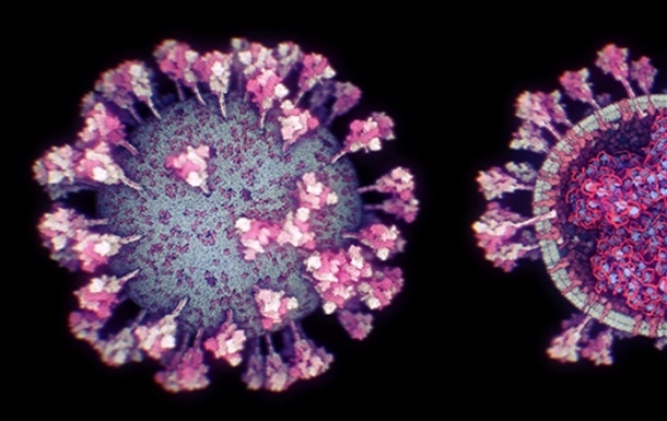 Ученые создали самую точную 3D-модель коронавируса. ВИДЕО