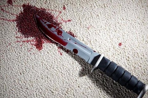 В Николаеве из-за бытового конфликта жена ударила ножом мужа в грудь
