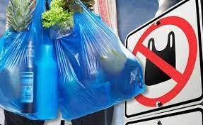 Германия запретила использование пластиковых пакетов с 2022 года