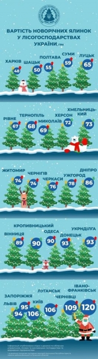 Сколько будет стоить новогодняя елка в Николаеве: названа минимальная цена